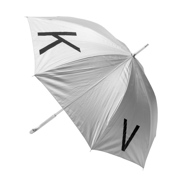 Image of Silver umbrella